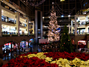 �T�b�|���t�@�N�g���[ �W�����{�c���[