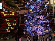 �T�b�|���t�@�N�g���[ �W�����{�c���[