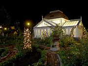 �C���O���b�V���K�[�f��