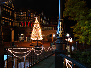 �������l�p�[�N