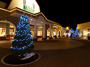 Rera �t�[�h�t�H���X�g