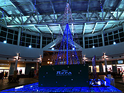 Twinkle Rera �N���X�}�X�c���[