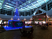 Twinkle Rera �N���X�}�X�c���[