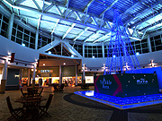 Twinkle Rera �N���X�}�X�c���[