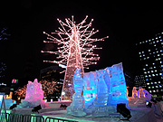 �F���̗̈�