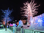 �F���̗̈�