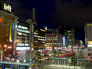 �D�y�w�O�̖�i