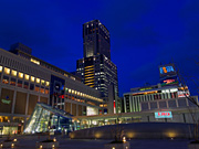 JR�^���[�̖�i