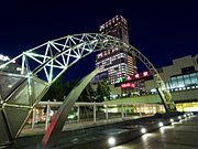 �D�y�w�k���L��̖�i