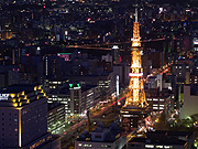 �e���r���̖�i