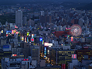 �������̖̂�i