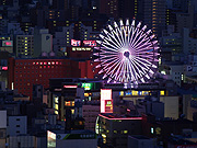 �m���x�T�ϗ��Ԃ̖�i