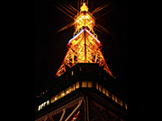 �����ۂ�e���r���̖�i