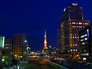 �e���r���E��ʌ�������