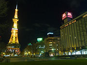 �e���r���Ƒ�ʌ����̖�i