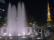 �e���r���Ƒ�ʌ����̕����̖�i