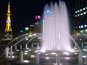 �e���r���Ƒ�ʌ����̕����̖�i