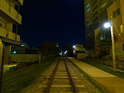 ����{���̖�i