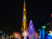 �z���C�g�C���~�l�[�V����