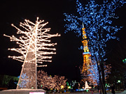 �z���C�g�C���~�l�[�V����