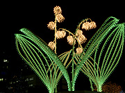 �X�Y�����̃C���~�l�[�V����