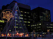 �N���X�}�X�c���[