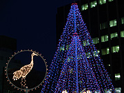 �N���X�}�X�c���[