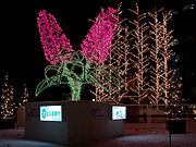 ���C���b�N�̃C���~�l�[�V����