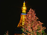 �e���r��