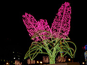 ���C���b�N�̃C���~�l�[�V����