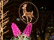 �g�i�J�C�̃C���~�l�[�V����