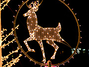 �g�i�J�C�̃C���~�l�[�V����