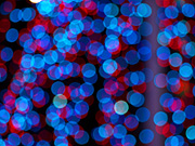 �N���X�}�X�c���[