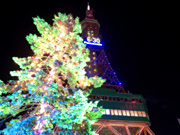 �e���r���Ƃ��݂̖�