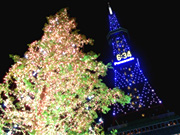 �e���r���Ƃ��݂̖�