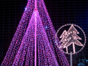 �N���X�}�X�c���[