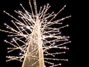 �F���̗̈�