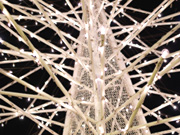 �F���̗̈�