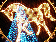 �z���C�g�C���~�l�[�V����