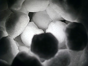 ���M�^�͉��