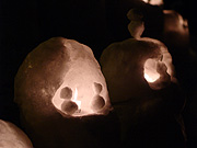 ���M�^�͉��