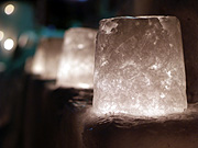 ��{�����